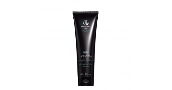 Paul Mitchell Awapuhi Wild Ginger Moisturizing Lather Shampoo